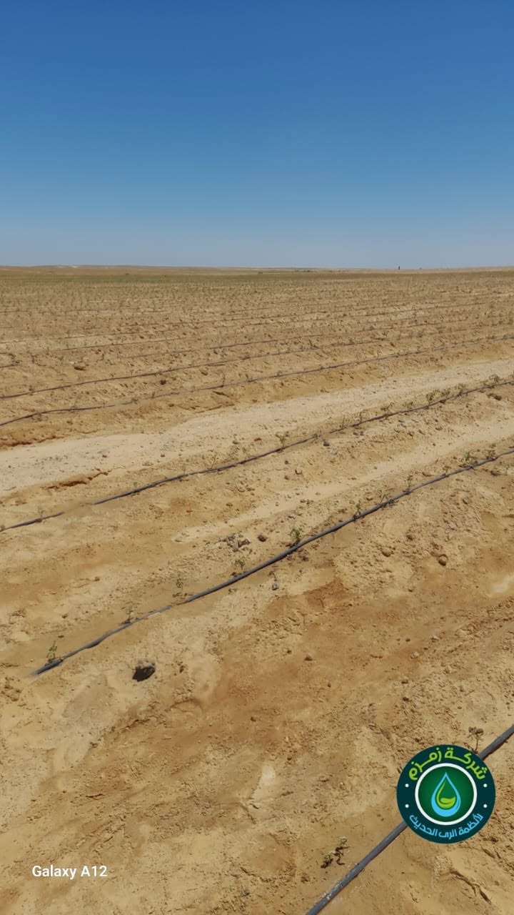 من مواقع تنفيذ شبكات الري